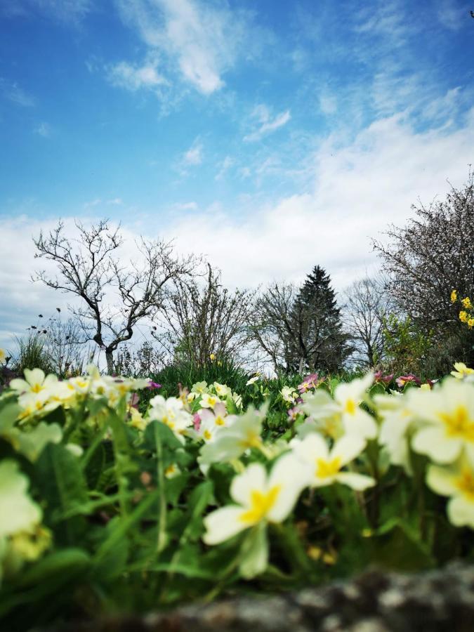 Bersaillin Domaine De L'Esperance, Chambre Rose Bed & Breakfast エクステリア 写真