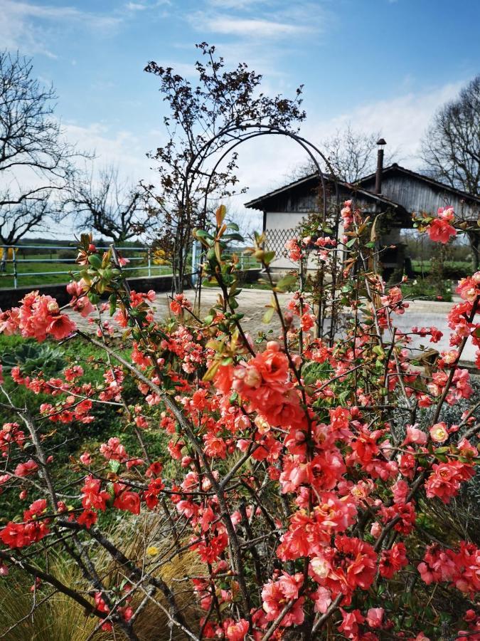 Bersaillin Domaine De L'Esperance, Chambre Rose Bed & Breakfast エクステリア 写真