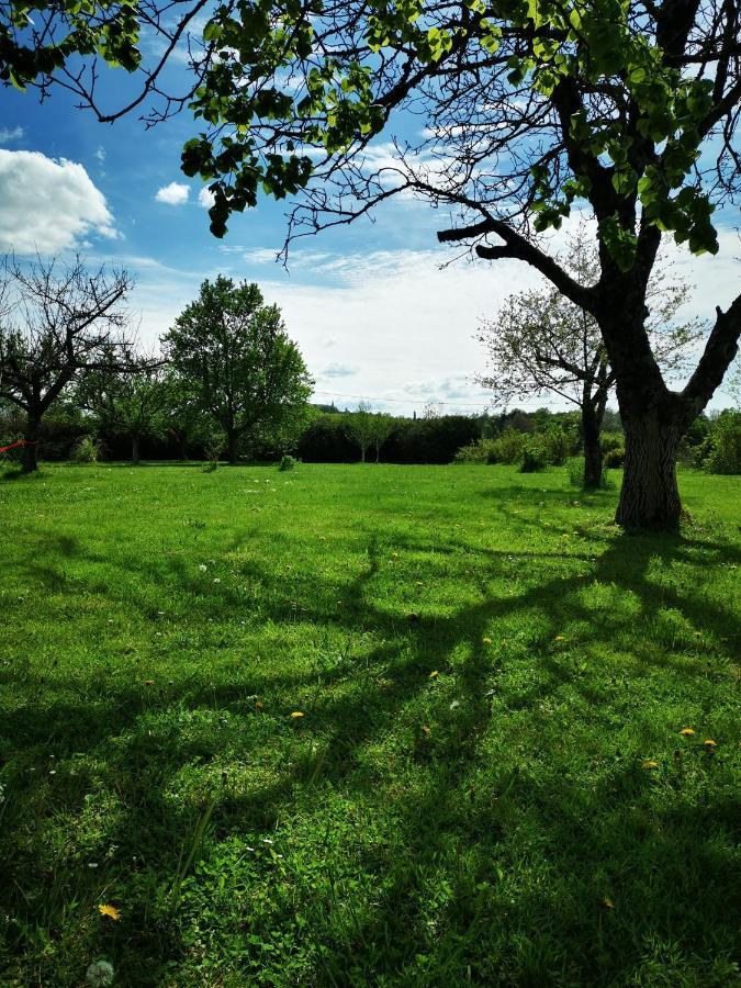 Bersaillin Domaine De L'Esperance, Chambre Rose Bed & Breakfast エクステリア 写真
